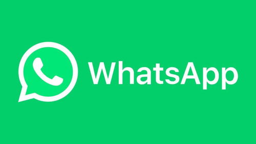 whatsapp的简写是什么,探索即时通讯应用的便捷表达