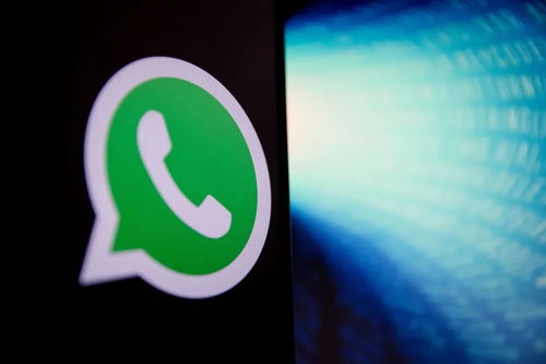 WhatsApp告白,WhatsApp上的浪漫瞬间