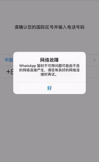 whatsapp 登录问题,常见问题及高效解决策略