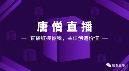 做区块链直播,技术赋能下的互动未来