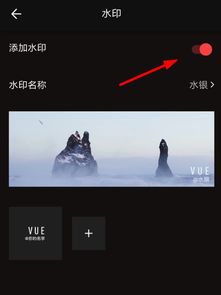 vue分享给别人的whatsapp,共享便捷沟通之道