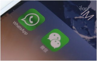 whatsapp 对比微信,功能对比与使用体验解析