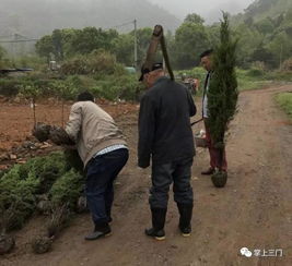 泡泡大作战游戏手机游戏 