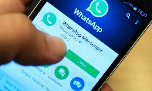 whatsapp 客户 拉黑,WhatsApp客户拉黑识别与应对策略全解析