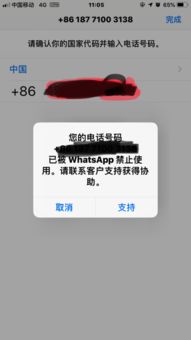 whatsapp 号码被禁止,WhatsApp号码被封禁？揭秘原因与解封攻略