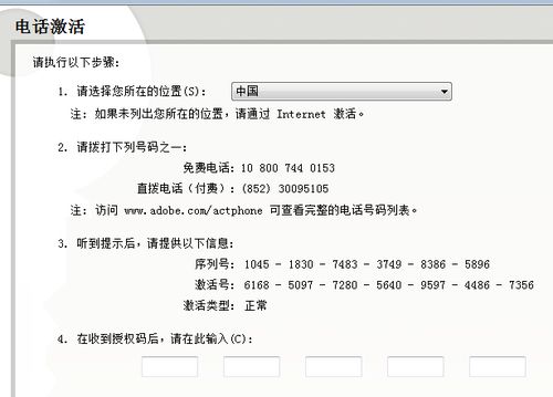 whatsapp的代码填什么意思,揭秘如何实现高效信息共享与安全通信