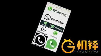 whatsapp還未能,WhatsApp未能生成一个概述文章副标题。