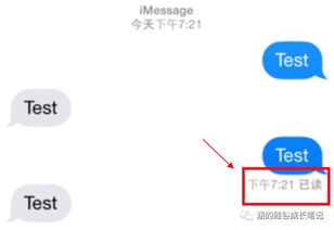 whatsapp灰色勾不变蓝,揭秘消息发送与接收的神秘状态