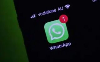 whatsapp对方标签消失了,原因揭秘！