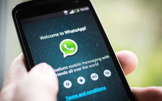 whatsapp回到中国传不了图片,WhatsApp在中国无法发送图片的解决方案与应对策略