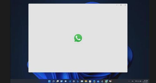 whatsapp windows 10,功能全面、操作便捷的即时通讯体验