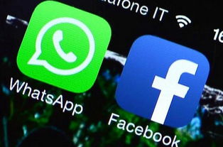 whatsapp 服务电话,便捷沟通的桥梁