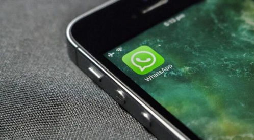 whatsapp 西班牙语,轻松掌握缩略语与实时翻译技巧