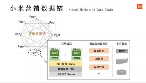 小米与区块链,技术融合与创新实践解析