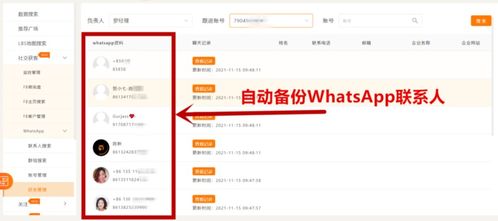whatsapp 外贸功能,助力全球贸易沟通新篇章