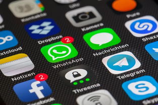 whatsapp打不了语音电话,WhatsApp语音通话故障排查与解决指南