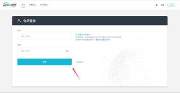 bhpay钱包怎么充值usdt,BHpay钱包操作指南