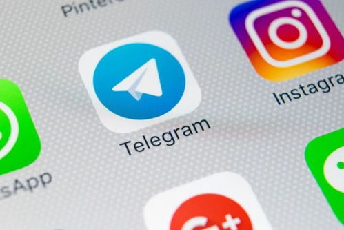 whatsapp表情在哪里加,轻松打造个性化聊天体验