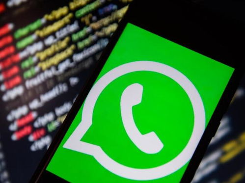 whatsapp 信息时钟,了解消息发送与接收的神秘信号