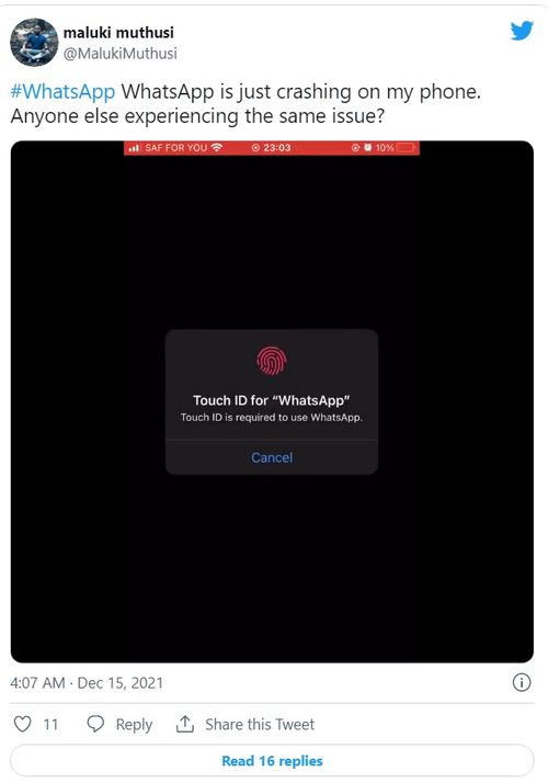 whatsapp 软件闪退,WhatsApp闪退问题解析与解决攻略