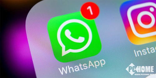 whatsapp管网,自助资源与反馈渠道全解析