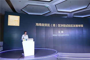 海南区块链论坛,共话区块链技术赋能实体经济与自贸港发展