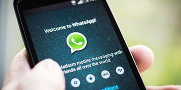 whatsapp被封有什么提示