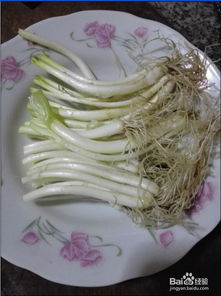 泡泡大作战游戏手机游戏 