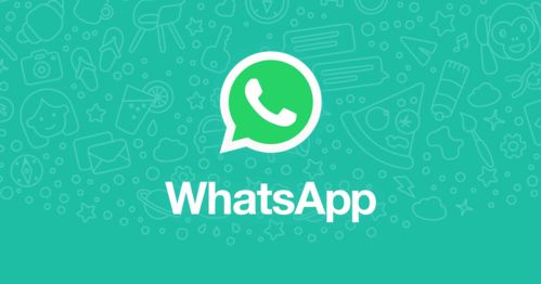 whatsapp粉,揭秘社交巨头背后的魅力与挑战
