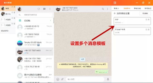 whatsapp 国内无法使用,揭秘WhatsApp在国内的巧妙使用之道