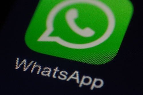 whatsapp坏了