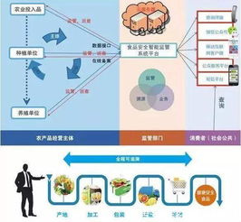 区块链食品溯源系统,构建透明、安全的食品安全体系