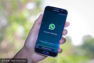 whatsapp安卓手机版2019,功能升级与用户体验革新回顾