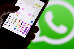 whatsapp群禁止聊天,维护和谐氛围的必要措施