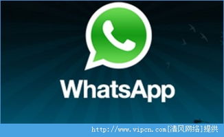 whatsapp在线上啥意思,解锁即时沟通新境界