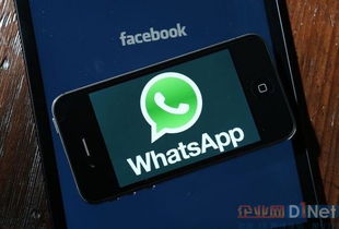 whatsapp动态谁可以看到,谁可以看到你的分享内容？