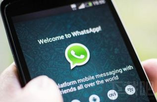 whatsapp必须是手机号码吗,手机号码不可或缺的注册攻略