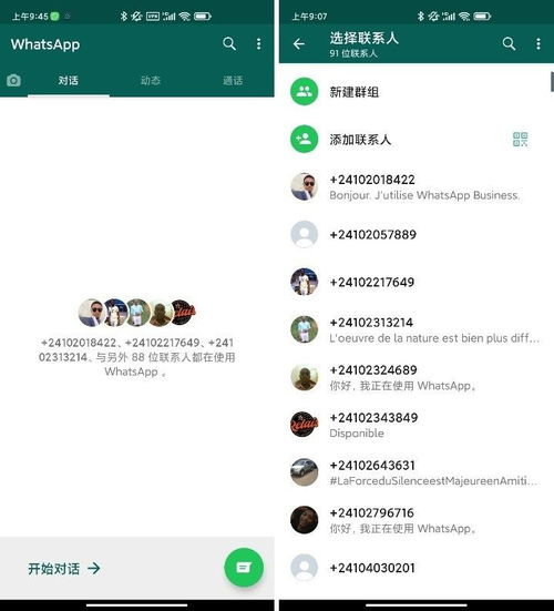 whatsapp开发国内客户,拓展业务新渠道