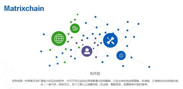 org区块链,构建未来金融生态的关键力量
