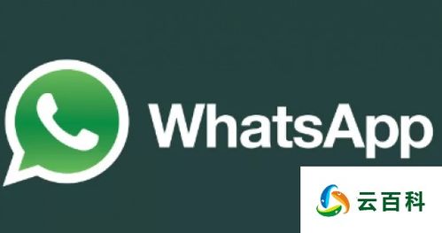 whatsapp 品牌,重塑品牌沟通新格局