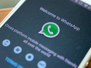 whatsapp 员工,揭秘即时通讯巨头背后的故事