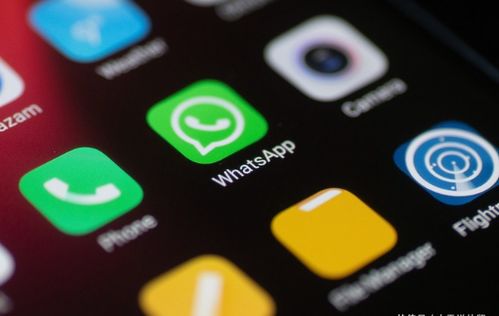 whatsapp号码丢了怎么办,WhatsApp号码丢失？快速恢复与预防指南