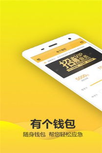 USDT钱包有延迟吗,揭秘数字货币交易中的时间谜题