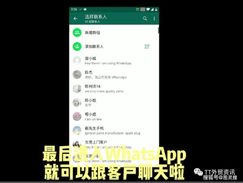 whatsapp订单,一站式服务体验解析