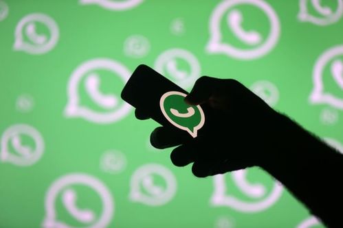 whatsapp p2p加密,揭秘隐私保护背后的技术奥秘