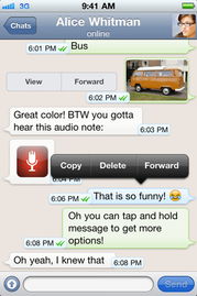 WhatsApp官方汉语名称,畅享便捷