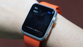 watch WhatsApp,如何保障用户隐私与安全
