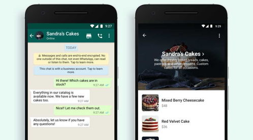 whatsapp换语言,WhatsApp语言转换功能助力全球沟通无障碍