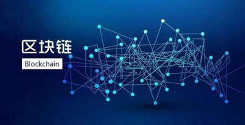 夸克区块链哪个公司,引领未来金融科技的创新力量