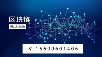 参加了区块链,构建未来金融与信息安全的基石